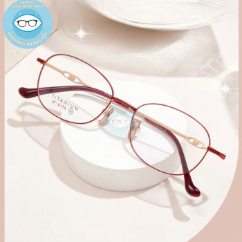 Gọng kính kim loại mã 6175